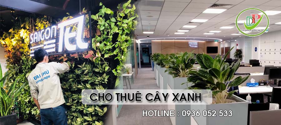 Dịch vụ cho thuê cây xanh TpHCM