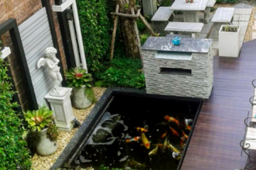 Thiết kế hồ cá koi trong nhà giá rẻ