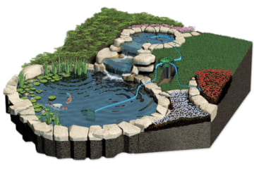Tư vấn bản thiết kế hồ cá koi chuẩn đẹp