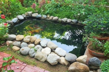 “Choáng” với các mẫu thiết kế hồ cá Koi siêu đẹp lại hợp phong thủy