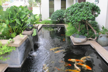 03 tiêu chuẩn thiết kế bể lọc hồ cá koi